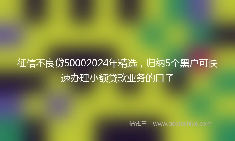 征信不良贷50002024年精选，归纳5个黑户可快速办理小额贷款业务的口子