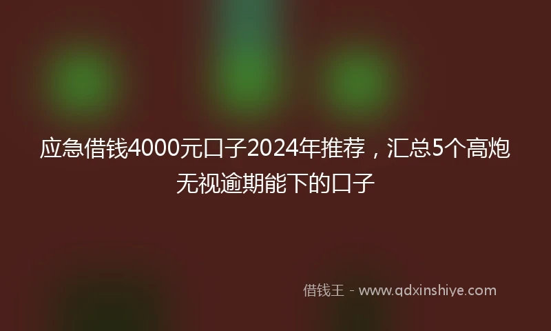应急借钱4000元口子2024年推荐，汇总5个高炮无视逾期能下的口子