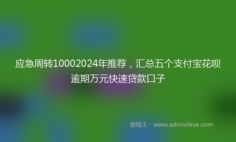 应急周转10002024年推荐，汇总五个支付宝花呗逾期万元快速贷款口子