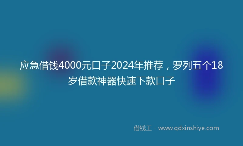 应急借钱4000元口子2024年推荐，罗列五个18岁借款神器快速下款口子