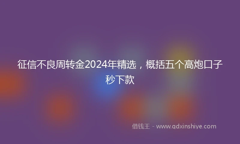 征信不良周转金2024年精选，概括五个高炮口子秒下款