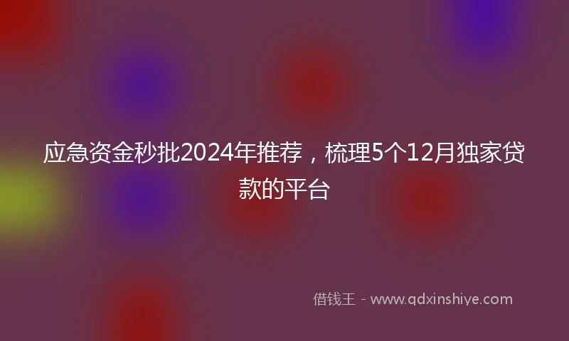 应急资金秒批2024年推荐，梳理5个12月独家贷款的平台