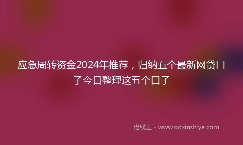 应急周转资金2024年推荐，归纳五个最新网贷口子今日整理这五个口子