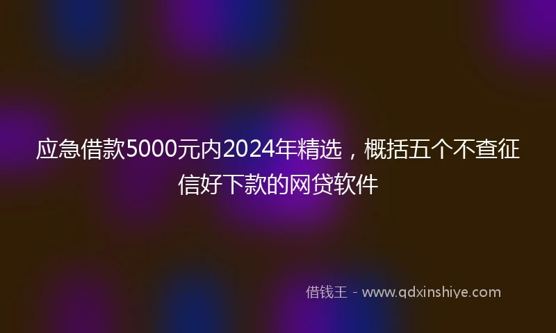 应急借款5000元内2024年精选，概括五个不查征信好下款的网贷软件