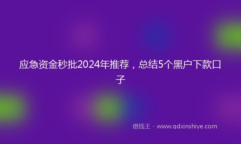 应急资金秒批2024年推荐，总结5个黑户下款口子