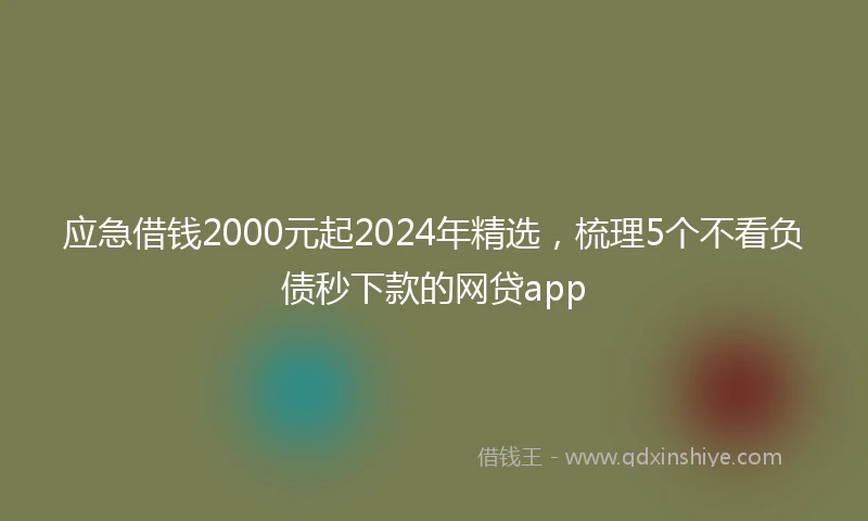 应急借钱2000元起2024年精选，梳理5个不看负债秒下款的网贷app