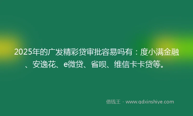 2025年的广发精彩贷审批容易吗有：度小满金融、安逸花、e微贷、省呗、维信卡卡贷等。