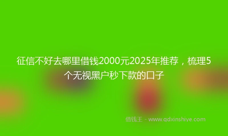 征信不好去哪里借钱2000元2025年推荐，梳理5个无视黑户秒下款的口子