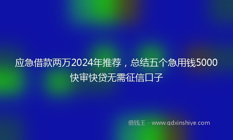 应急借款两万2024年推荐，总结五个急用钱5000快审快贷无需征信口子