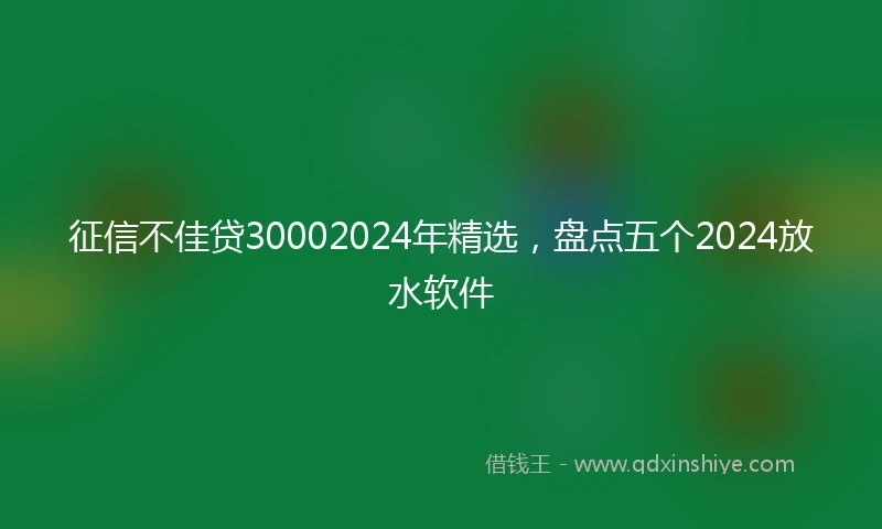 征信不佳贷30002024年精选，盘点五个2024放水软件