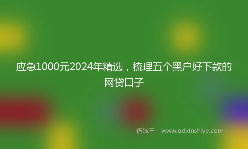应急1000元2024年精选，梳理五个黑户好下款的网贷口子