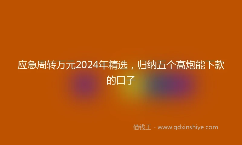 应急周转万元2024年精选，归纳五个高炮能下款的口子