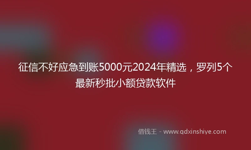 征信不好应急到账5000元2024年精选，罗列5个最新秒批小额贷款软件