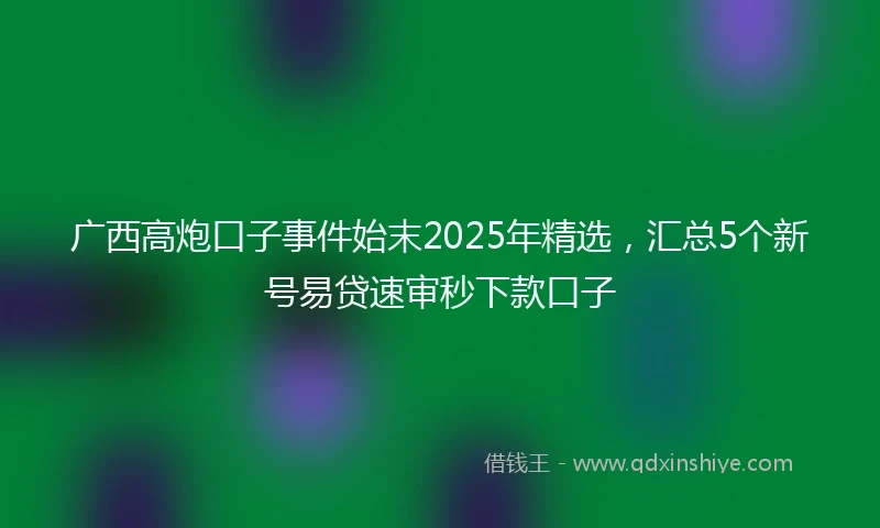 广西高炮口子事件始末2025年精选，汇总5个新号易贷速审秒下款口子
