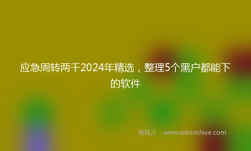 应急周转两千2024年精选，整理5个黑户都能下的软件