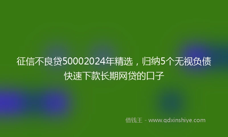 征信不良贷50002024年精选，归纳5个无视负债快速下款长期网贷的口子