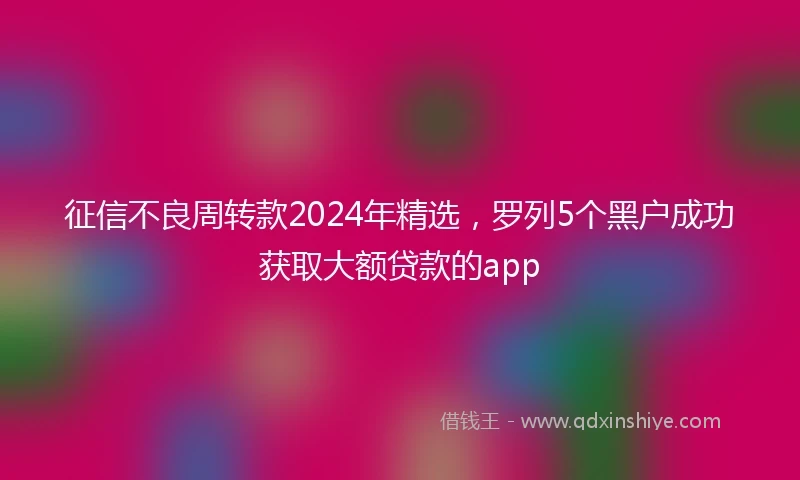 征信不良周转款2024年精选，罗列5个黑户成功获取大额贷款的app