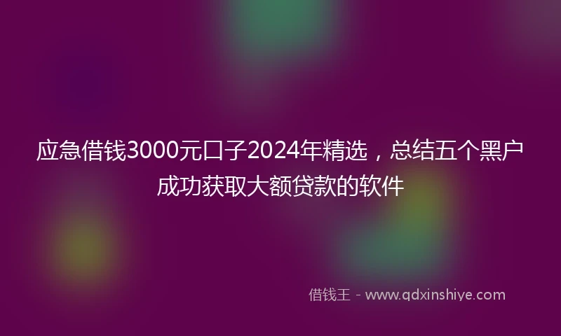 应急借钱3000元口子2024年精选，总结五个黑户成功获取大额贷款的软件