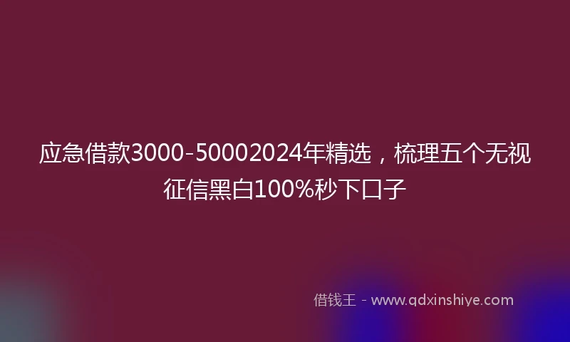 应急借款3000-50002024年精选，梳理五个无视征信黑白100%秒下口子