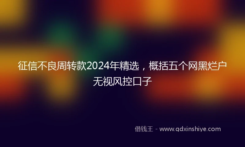 征信不良周转款2024年精选，概括五个网黑烂户无视风控口子