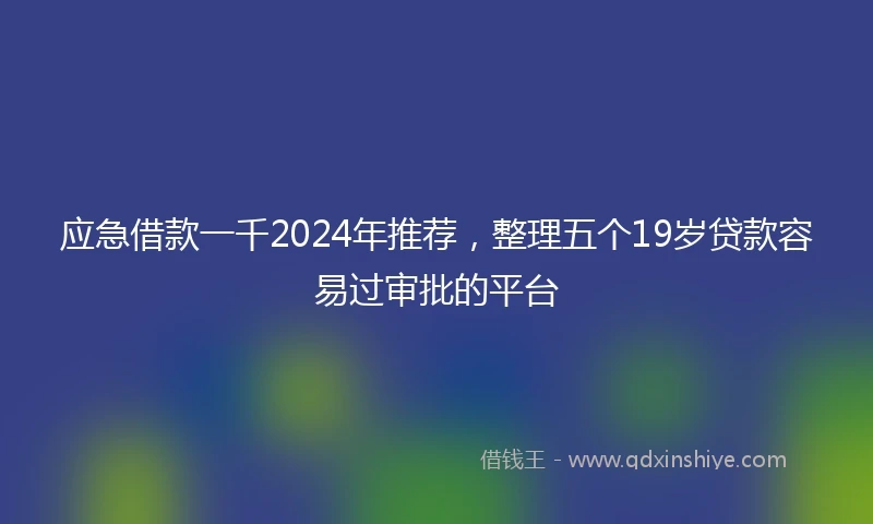 应急借款一千2024年推荐，整理五个19岁贷款容易过审批的平台