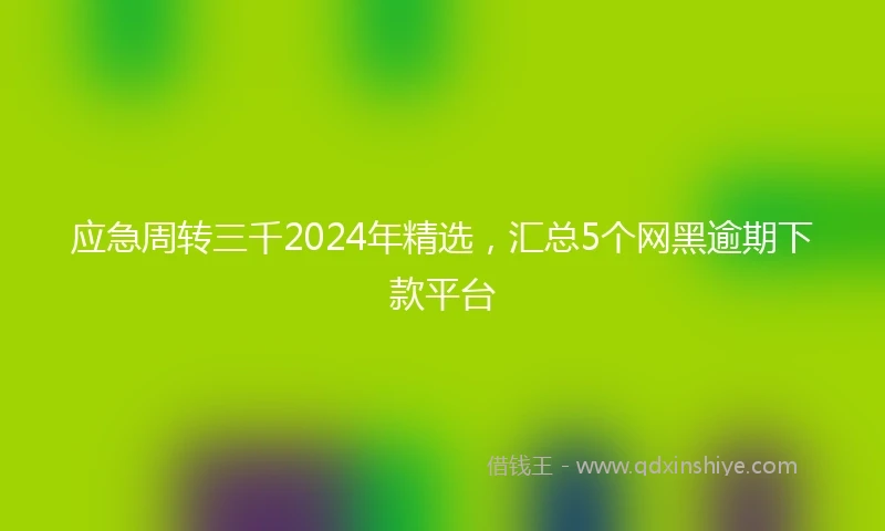 应急周转三千2024年精选，汇总5个网黑逾期下款平台