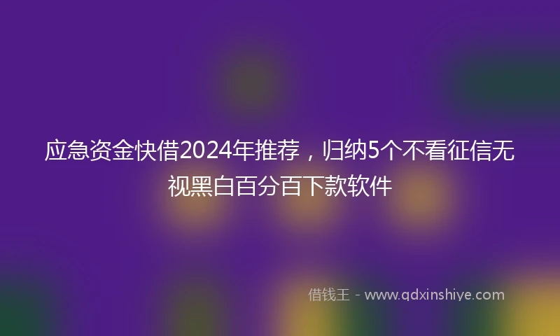 应急资金快借2024年推荐，归纳5个不看征信无视黑白百分百下款软件