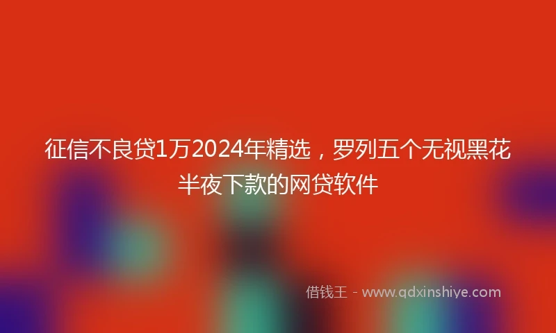 征信不良贷1万2024年精选，罗列五个无视黑花半夜下款的网贷软件