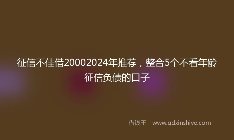 征信不佳借20002024年推荐，整合5个不看年龄征信负债的口子