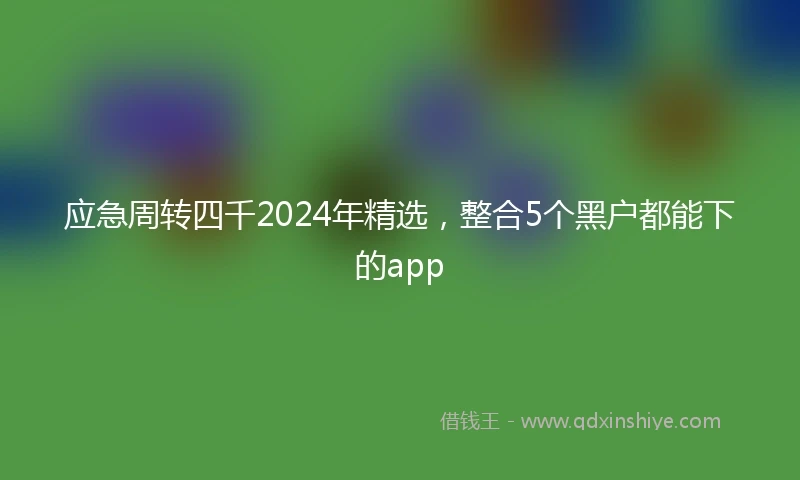 应急周转四千2024年精选，整合5个黑户都能下的app