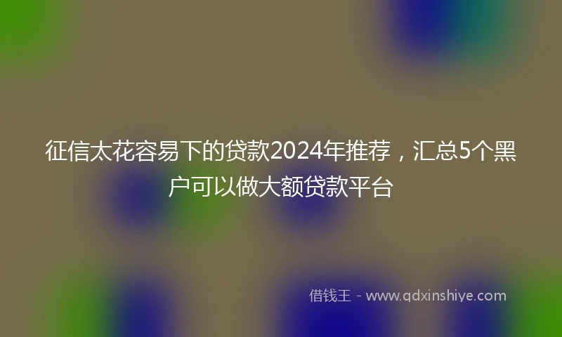 征信太花容易下的贷款2024年推荐，汇总5个黑户可以做大额贷款平台
