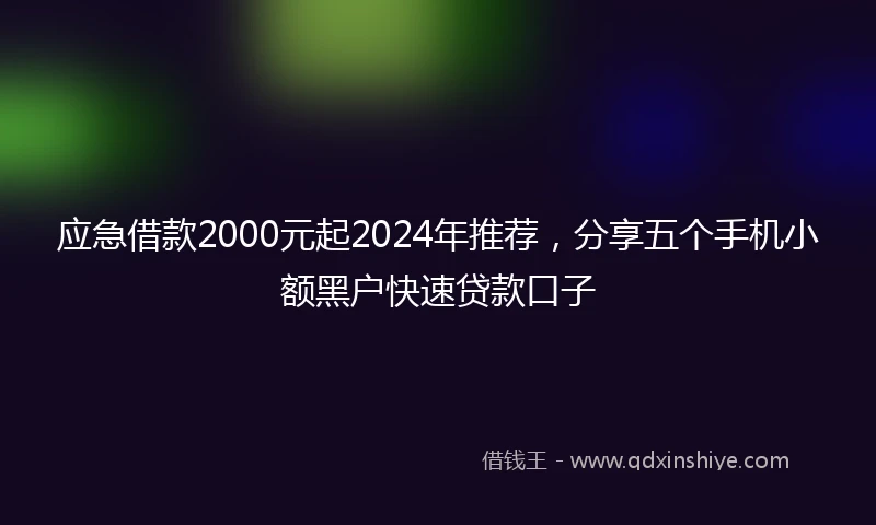 应急借款2000元起2024年推荐，分享五个手机小额黑户快速贷款口子