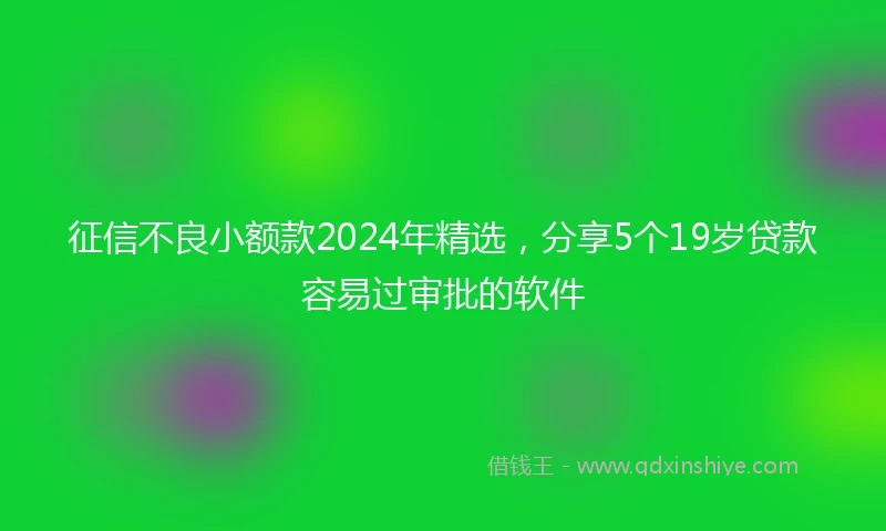 征信不良小额款2024年精选，分享5个19岁贷款容易过审批的软件