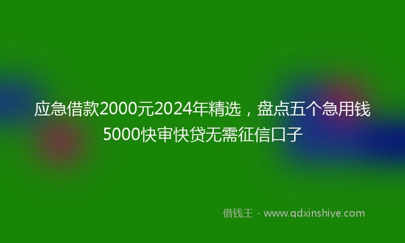 应急借款2000元2024年精选，盘点五个急用钱5000快审快贷无需征信口子