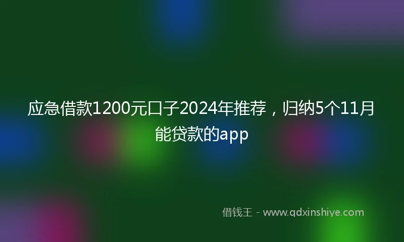 应急借款1200元口子2024年推荐，归纳5个11月能贷款的app