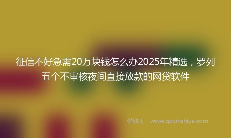 征信不好急需20万块钱怎么办2025年精选，罗列五个不审核夜间直接放款的网贷软件