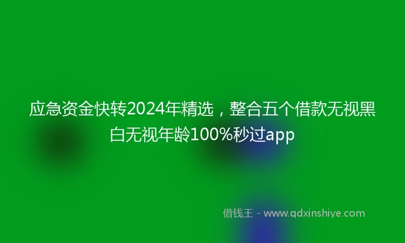 应急资金快转2024年精选，整合五个借款无视黑白无视年龄100%秒过app