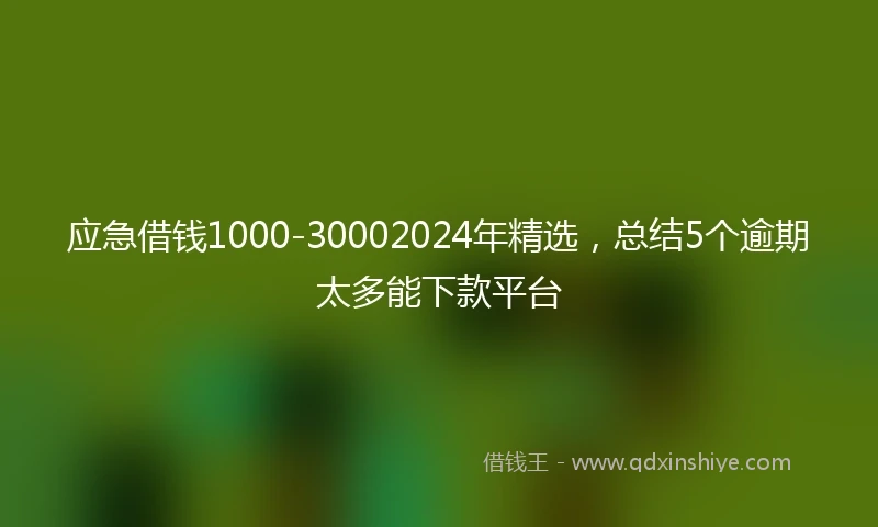 应急借钱1000-30002024年精选，总结5个逾期太多能下款平台