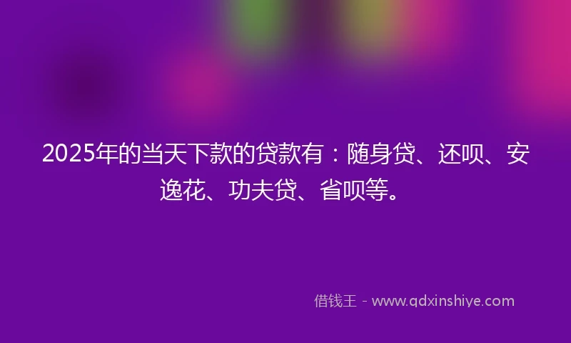 2025年的当天下款的贷款有：随身贷、还呗、安逸花、功夫贷、省呗等。