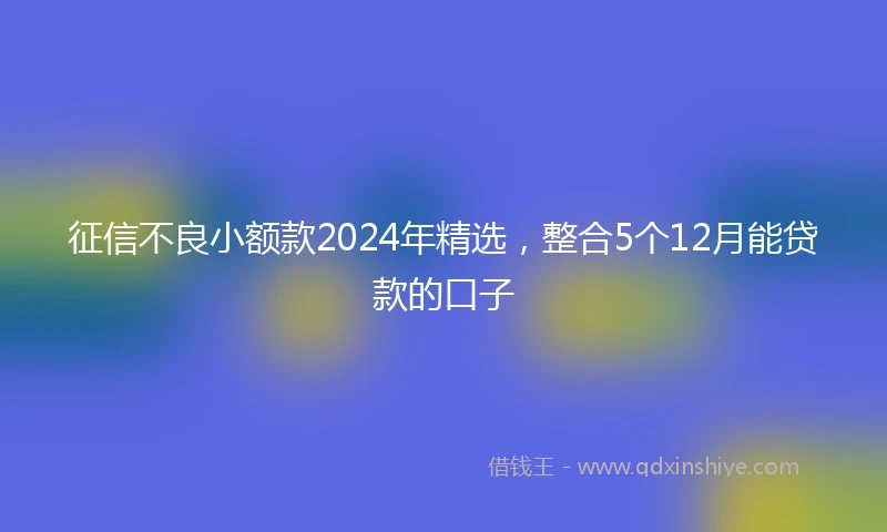 征信不良小额款2024年精选，整合5个12月能贷款的口子