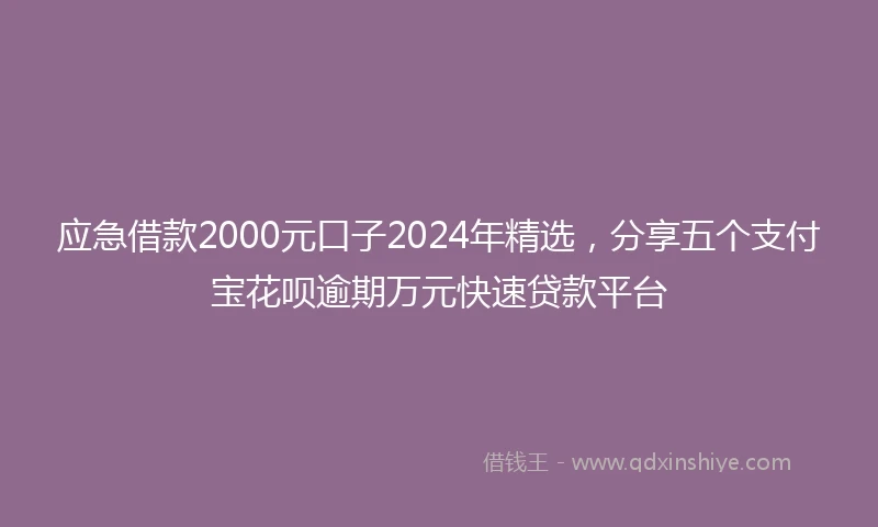 应急借款2000元口子2024年精选，分享五个支付宝花呗逾期万元快速贷款平台