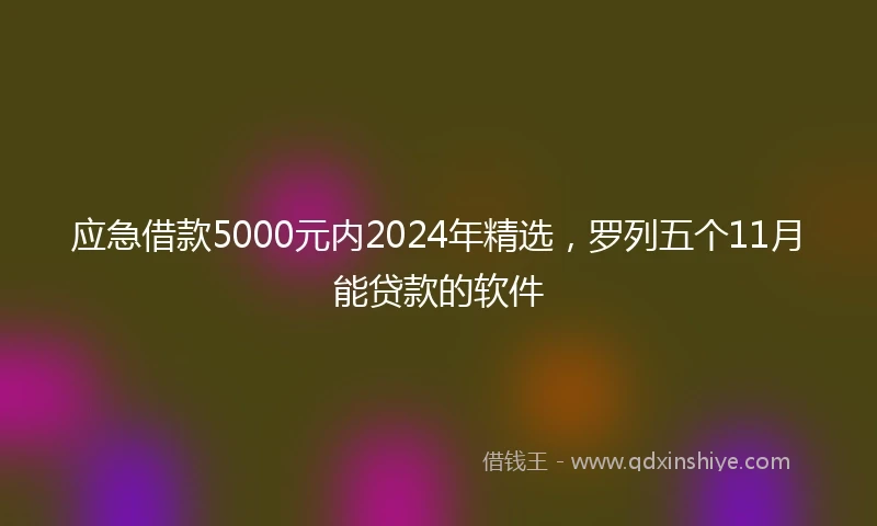 应急借款5000元内2024年精选，罗列五个11月能贷款的软件