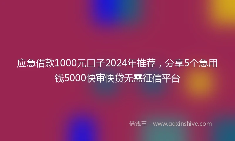 应急借款1000元口子2024年推荐，分享5个急用钱5000快审快贷无需征信平台