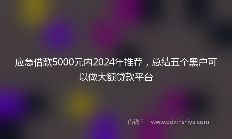应急借款5000元内2024年推荐，总结五个黑户可以做大额贷款平台