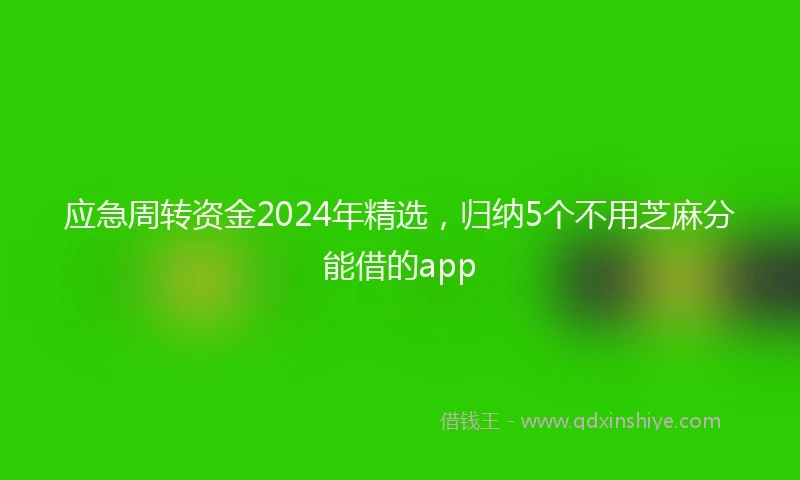 应急周转资金2024年精选，归纳5个不用芝麻分能借的app