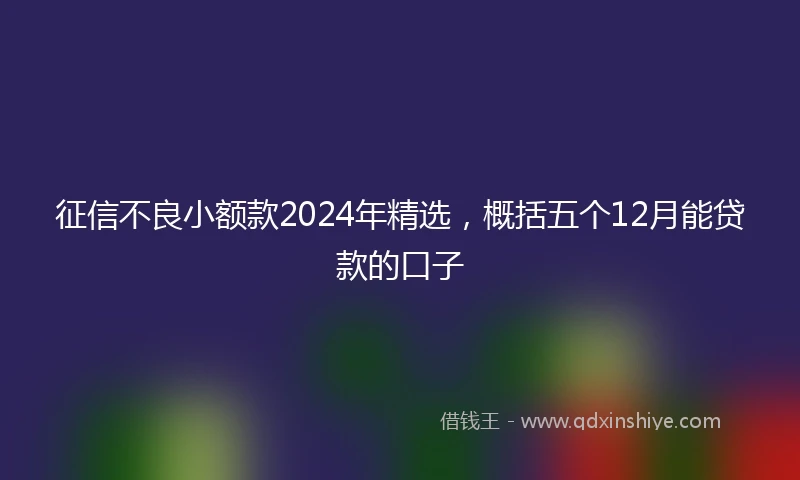 征信不良小额款2024年精选，概括五个12月能贷款的口子