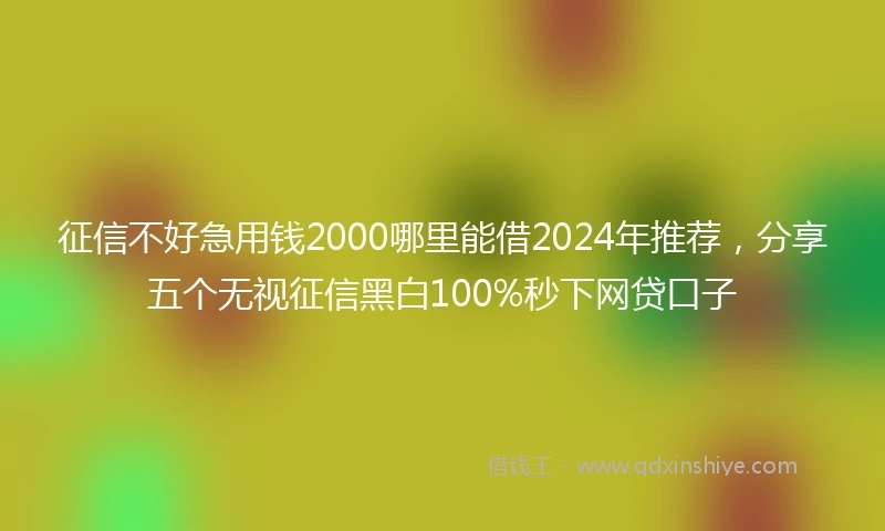 征信不好急用钱2000哪里能借2024年推荐，分享五个无视征信黑白100%秒下网贷口子