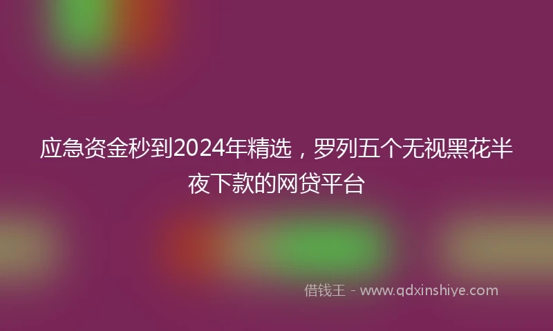 应急资金秒到2024年精选，罗列五个无视黑花半夜下款的网贷平台