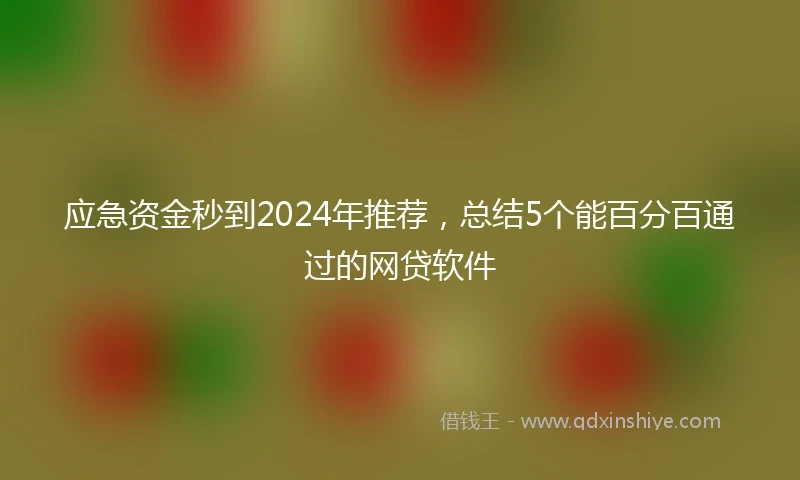 应急资金秒到2024年推荐，总结5个能百分百通过的网贷软件