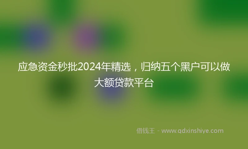 应急资金秒批2024年精选，归纳五个黑户可以做大额贷款平台